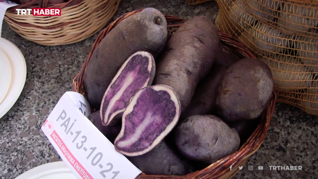 Renkli patatesler sofraları süsleyecek